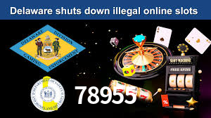 78955,78955.com