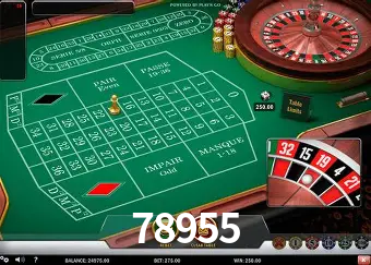 Casino Ao Vivo 78955
