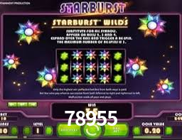 Basketball Betting 78955