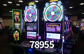 78955,78955.com